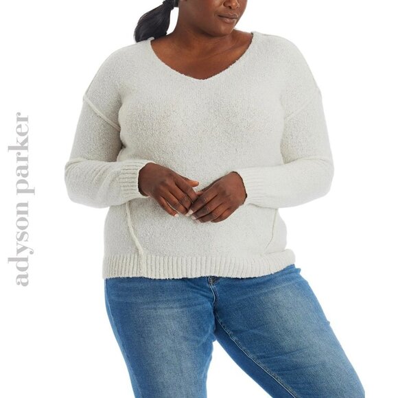 Adyson Parker Sweaters - NWT Adyson Parker Plus Cozy V-Neck Soft Knit Inverted Seam Pullover Sweater